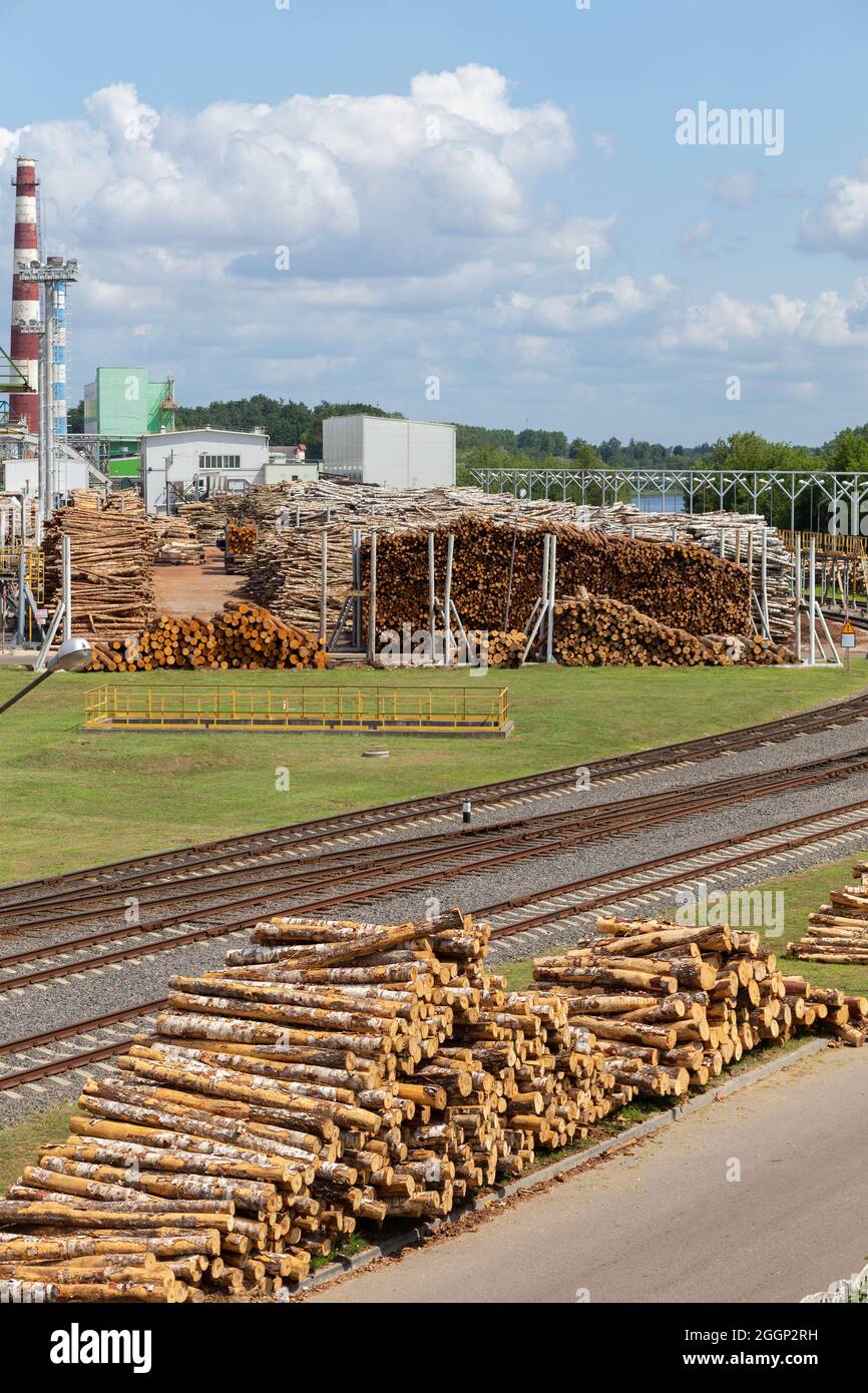 Entrepôt de matières premières en bois en plein air dans une usine de traitement du bois avec voies de chemin de fer d'accès Banque D'Images