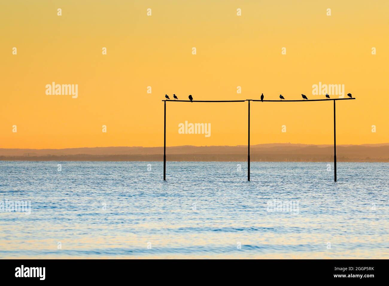 Blick von Arbon über den Bodensee BEI Sonnenaufgang Banque D'Images