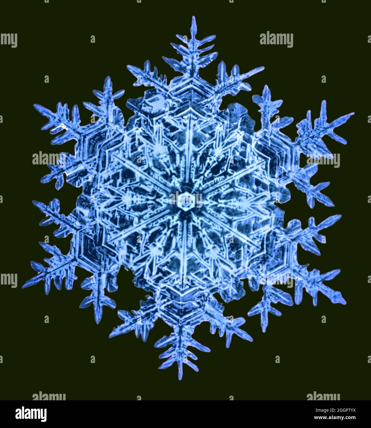 Photographie couleur rehaussée d'un flocon de neige, après une photographie originale sur une plaque de verre par Wilson A. Banque D'Images
