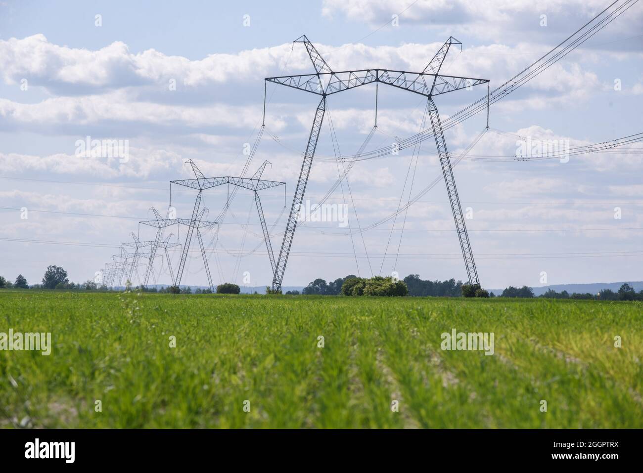 Une vue des lignes électriques, des transmissions d'énergie électrique dans un champ dans l'ouest de l'Ukraine.le Premier ministre de l'Ukraine, Denis Shmygal, a annoncé que, à partir du 1er octobre, Le coût de l'électricité pour 80% de la population diminuera à la suite de l'adoption par le Cabinet des ministres d'une résolution qui a réduit le tarif de l'électricité à 1.44 UAH par kilowatt/heure si les ménages consomment moins de 250 kilowatt/heures par mois. En même temps, si le ménage utilise plus que cette norme, alors toute l'électricité consommée doit être payée au prix plein - UAH 1.68 par kWh. Banque D'Images