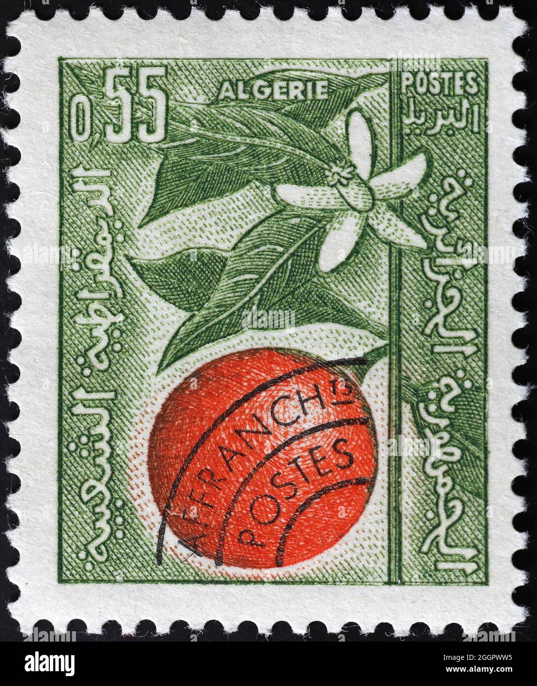 Orange et fleur sur timbre algérien d'époque Banque D'Images