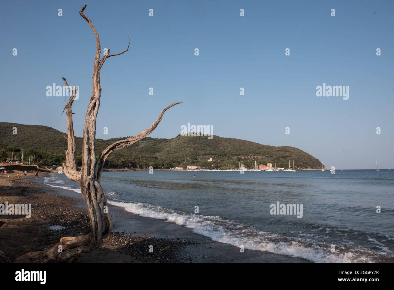 Baratti, Piombino, Livourne. Plage de Baratti Banque D'Images