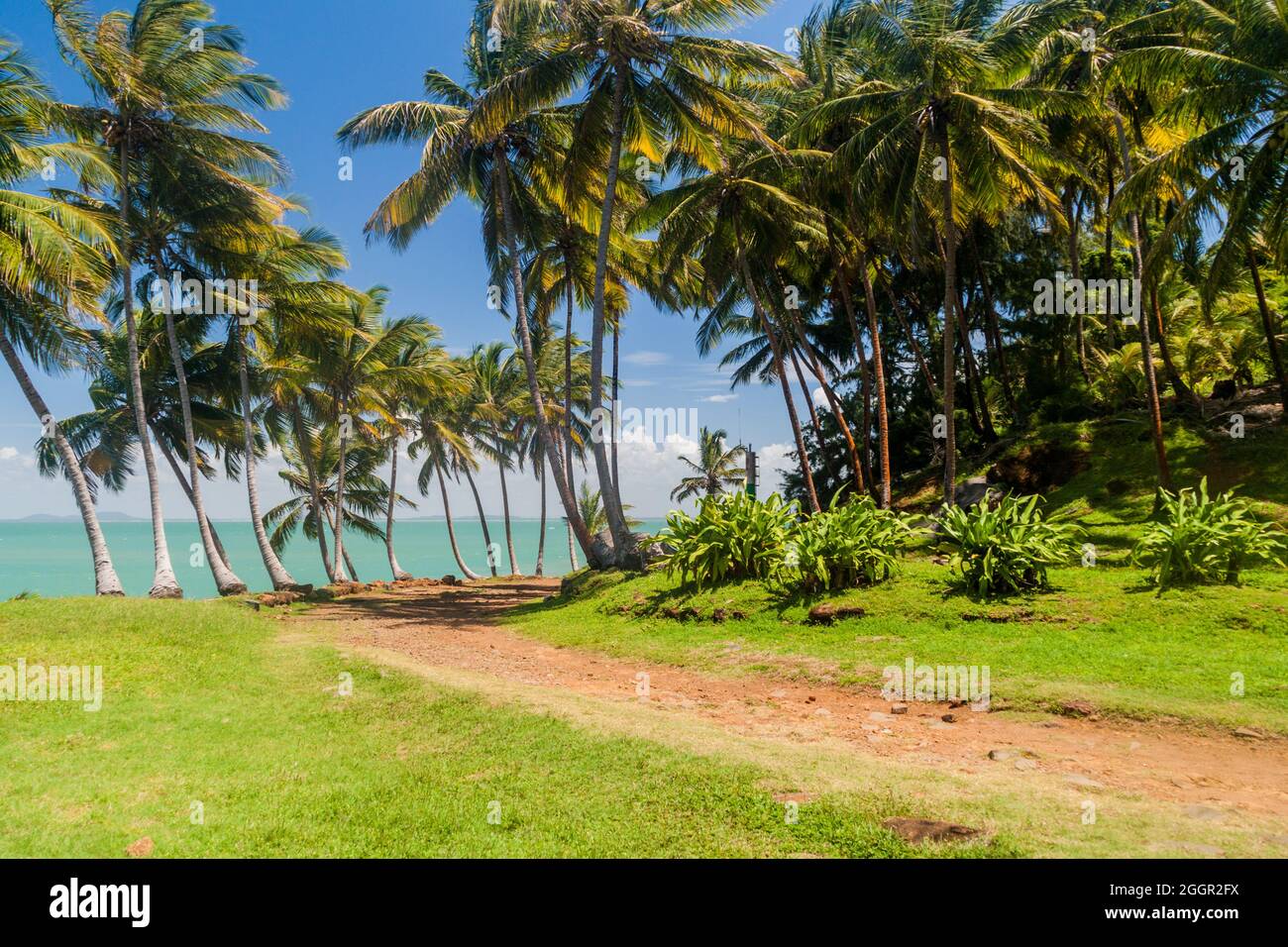 Route à l'Ile Royale, une des îles des Iles du Salut en Guyane française Banque D'Images