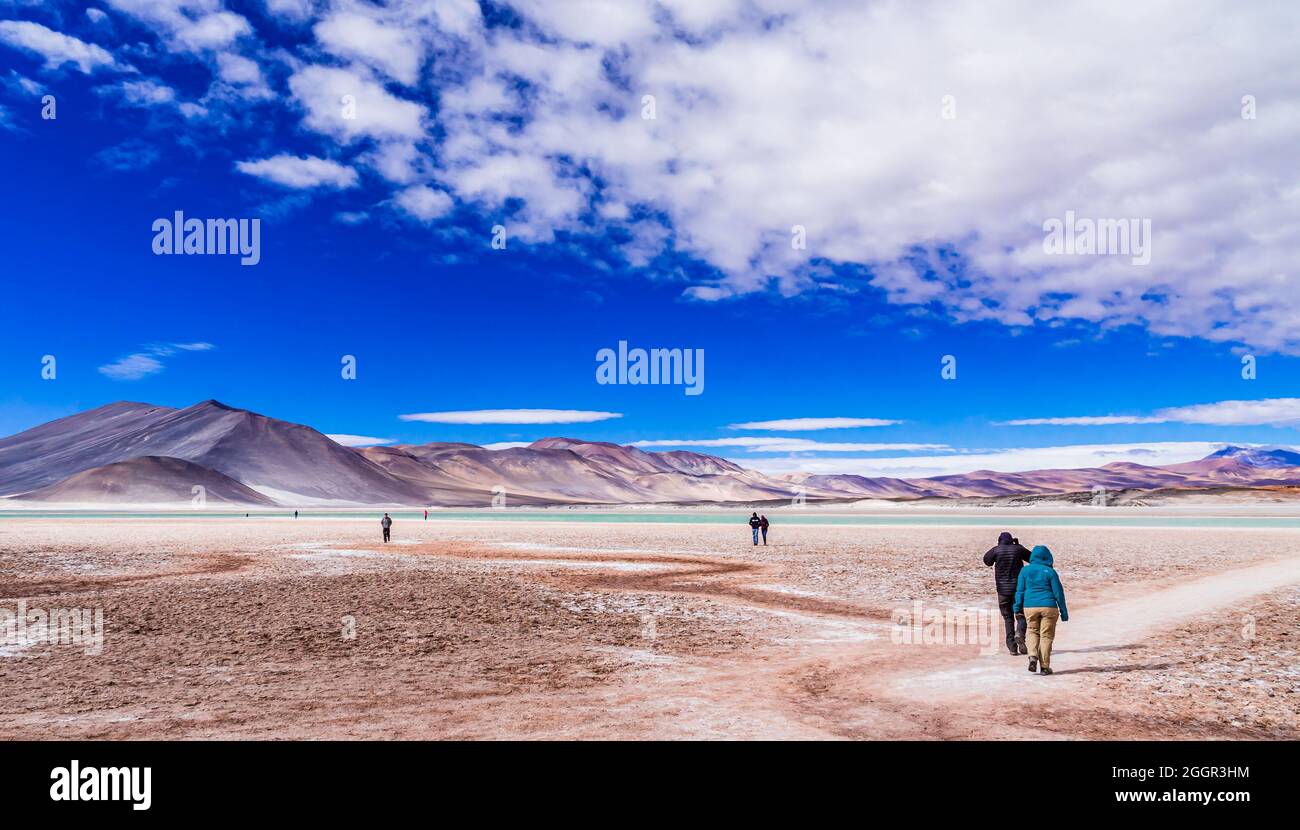 Laguna Salar de Talar avec la Cordillère des Andes, à San Pedro de Atacama, région d'Antofagasta, Chili Banque D'Images