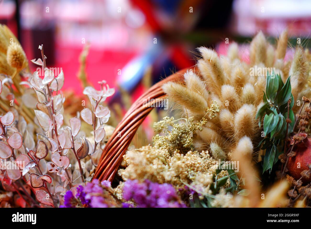 Plantes décoratives et fines herbes dans le panier à l'intérieur Banque D'Images