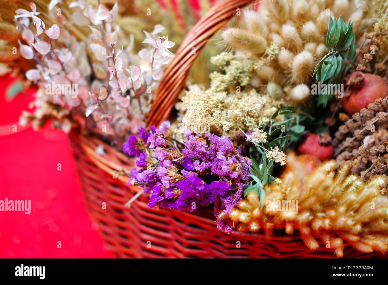 Plantes décoratives et fines herbes dans le panier à l'intérieur Banque D'Images