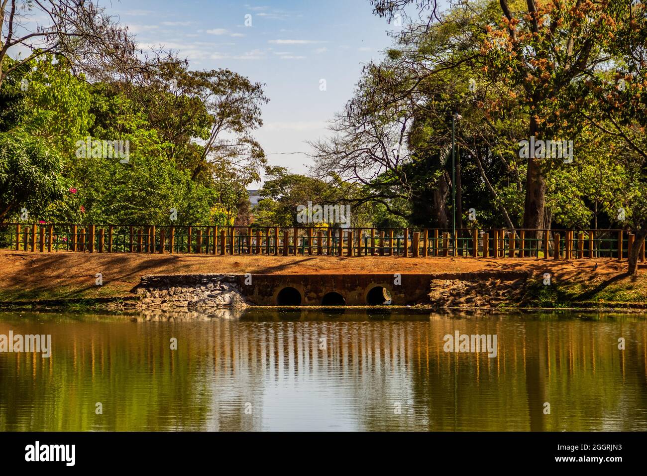 Détail du lac de roses parc dans la ville de Goiânia. Le zoo de la ville. Banque D'Images