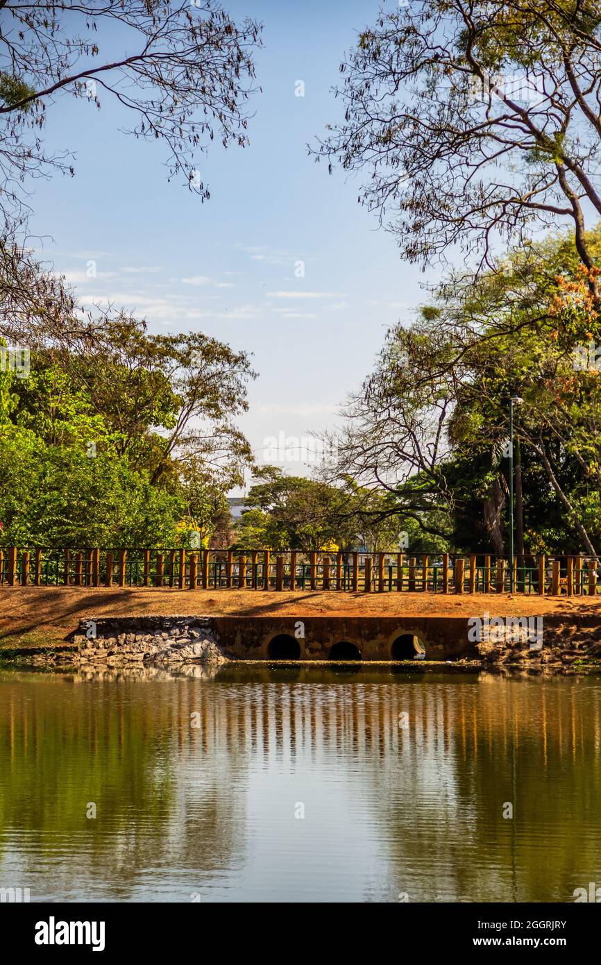 Détail du lac de roses parc dans la ville de Goiânia. Le zoo de la ville. Banque D'Images