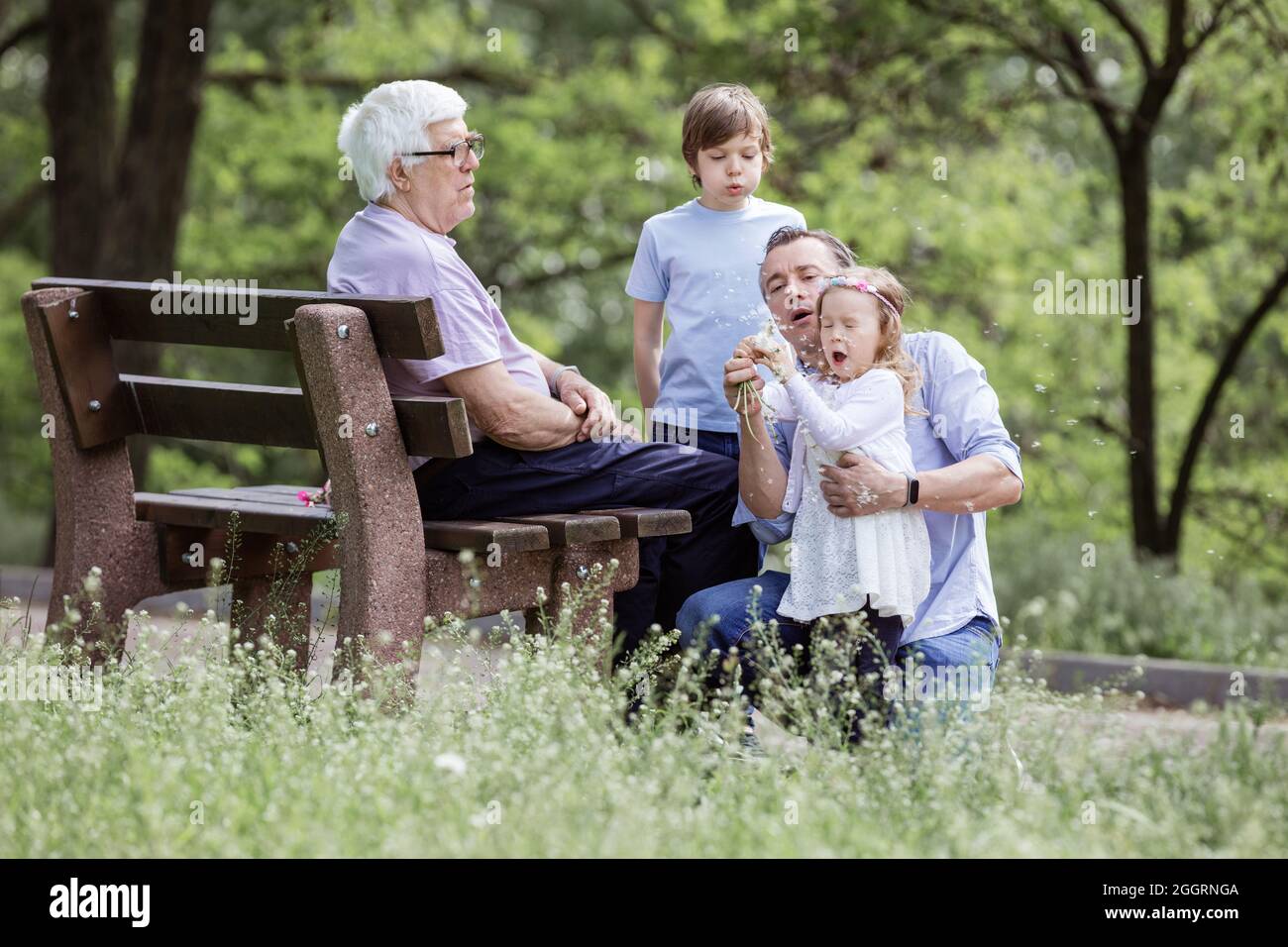 Famille de trois générations dans un parc d'été : grand-père assis à bord, père et petits-enfants. Père et fille soufflant des graines de pissenlit. Banque D'Images