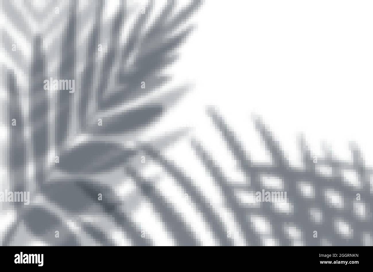 Effets de superposition d'ombres réalistes maquette de la composition de la vue de dessus avec des ombres de feuilles exotiques sur l'illustration du vecteur de paroi Illustration de Vecteur