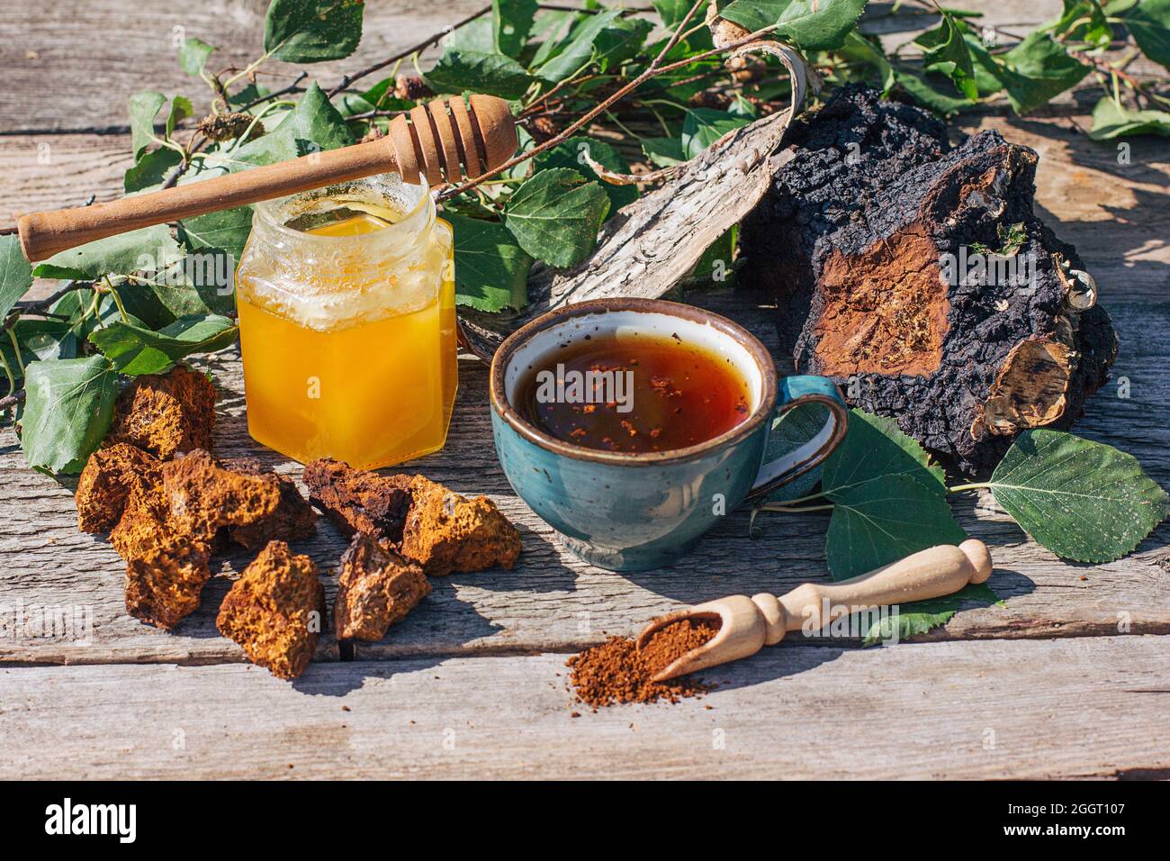 Thé de chaga - un antioxydant fort, stimule le système immunitaire. Sain pur naturel. Champignon de chaga sauvage, préparation de thé, café et remède à base de plantes Banque D'Images