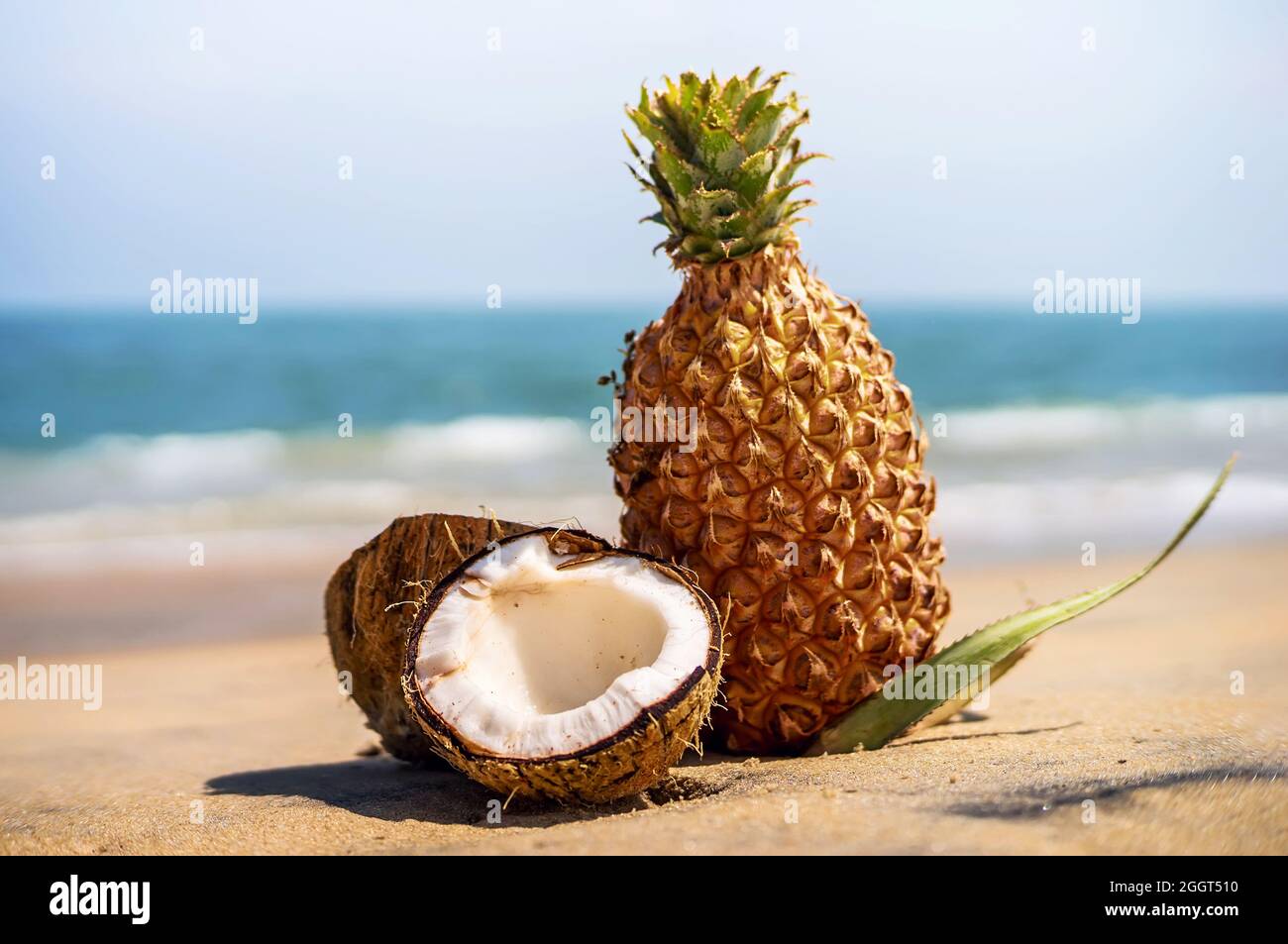ananas frais et noix de coco dans un paysage tropical. La noix de coco est décomposée en 2 moitié sur le sable sur le fond de la mer Banque D'Images