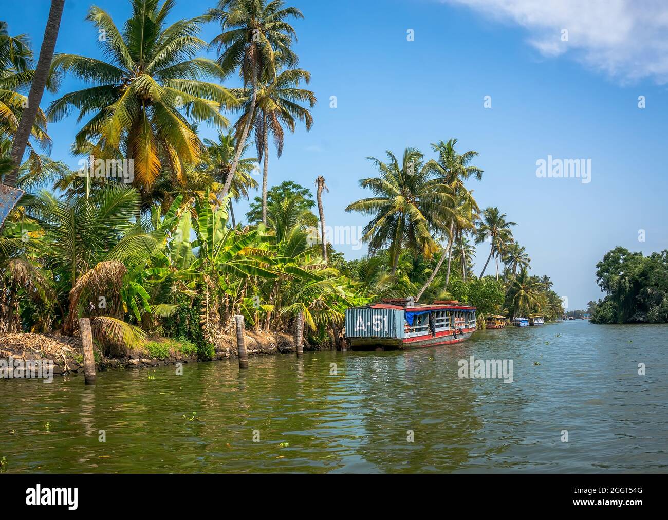 Tram dans la rivière à côté des palmiers d'Alleppey, Kerala Inde. Banque D'Images