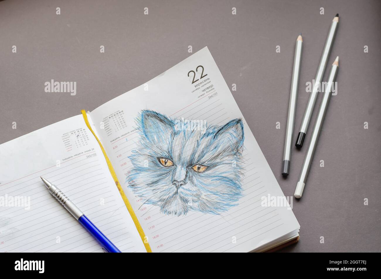 Dessin au crayon réaliste d'un chat sur les pages d'un journal ouvert. Banque D'Images