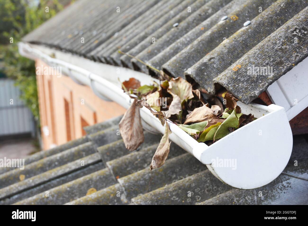 Gouttière sur le toit avec des feuilles mortes en automne. Nettoyage des gouttières. Banque D'Images