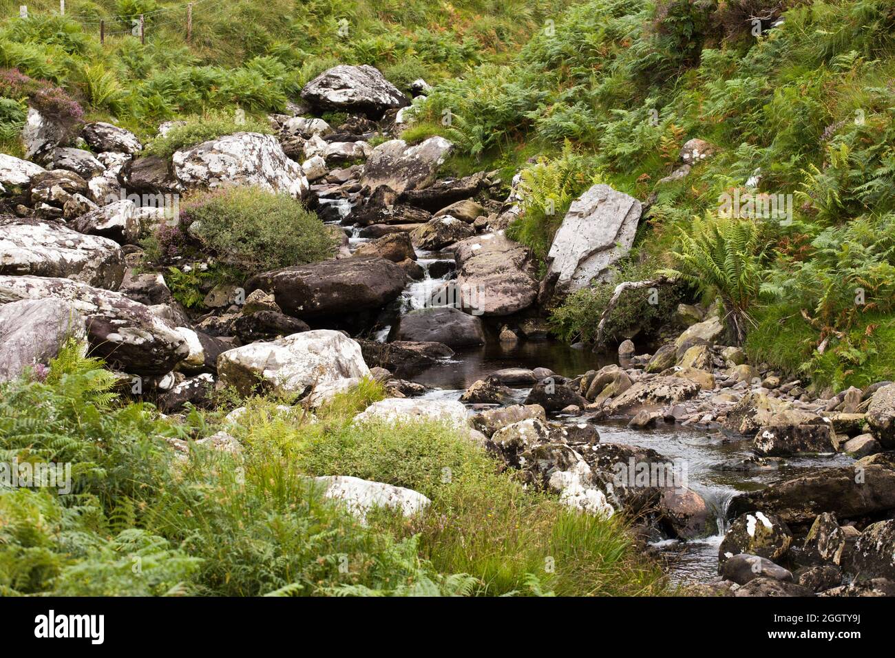 Vacances vue South West Ireland Eire Banque D'Images