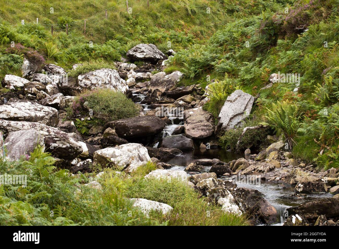 Vacances vue South West Ireland Eire Banque D'Images