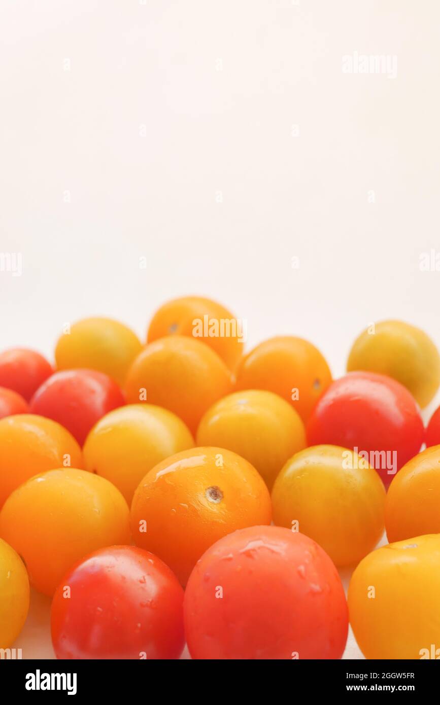 tomate cerise rouge et jaune isolée sur blanc Banque D'Images