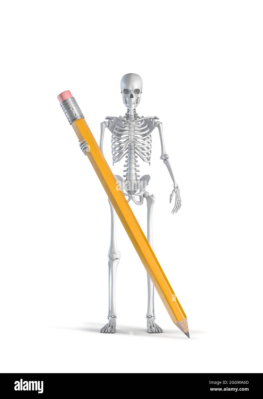 Concept de créativité du squelette - illustration 3D du squelette humain masculin tenant un crayon jaune géant isolé sur fond blanc de studio Banque D'Images