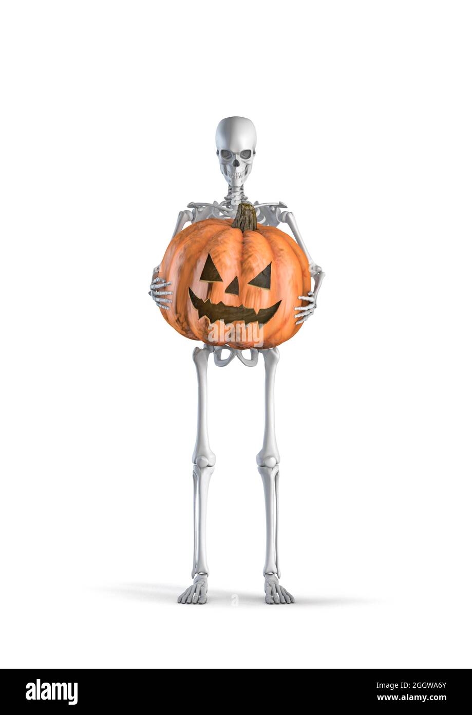 Squelette de citrouille Halloween - illustration 3D du squelette humain masculin tenant une grande citrouille taillée de la citrouille o'lanterne isolée sur le dos blanc de studio Banque D'Images