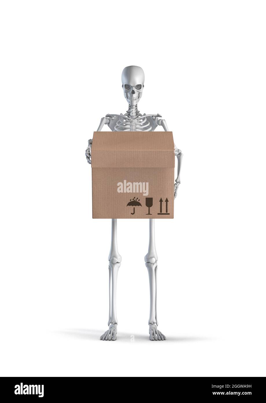 Squelette avec livraison en boîte - illustration 3D du squelette humain mâle tenant une boîte en carton isolée sur fond blanc de studio Banque D'Images