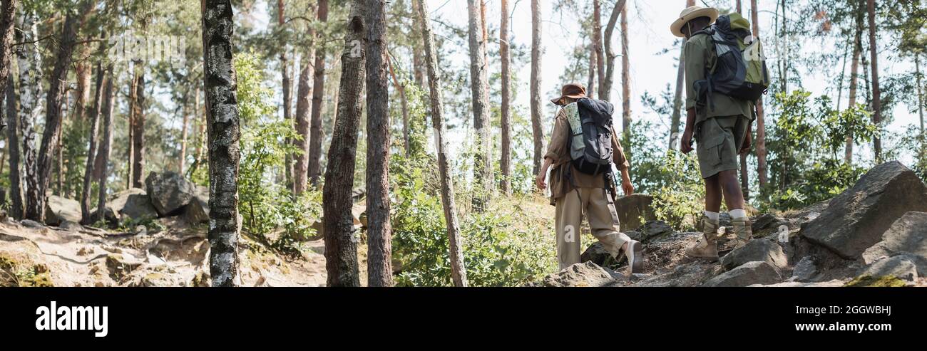 Couple multiethnique avec sacs à dos marchant sur des pierres dans la forêt, bannière Banque D'Images