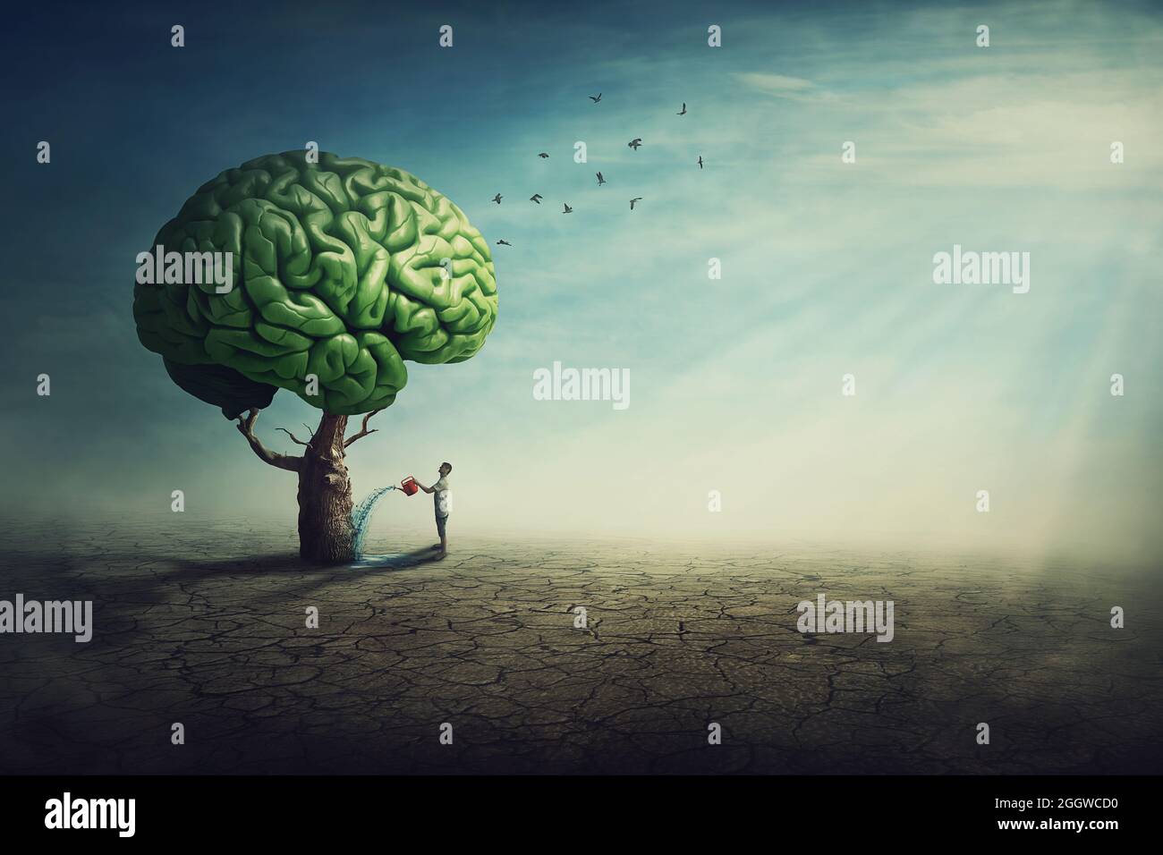 Arbre de cerveau surréel dans une terre désolées et une personne déterminée l'arroser à l'aide d'une saupoudrage. L'homme éclabousse l'arbuste vert à l'aide d'un pot d'eau, taki Banque D'Images