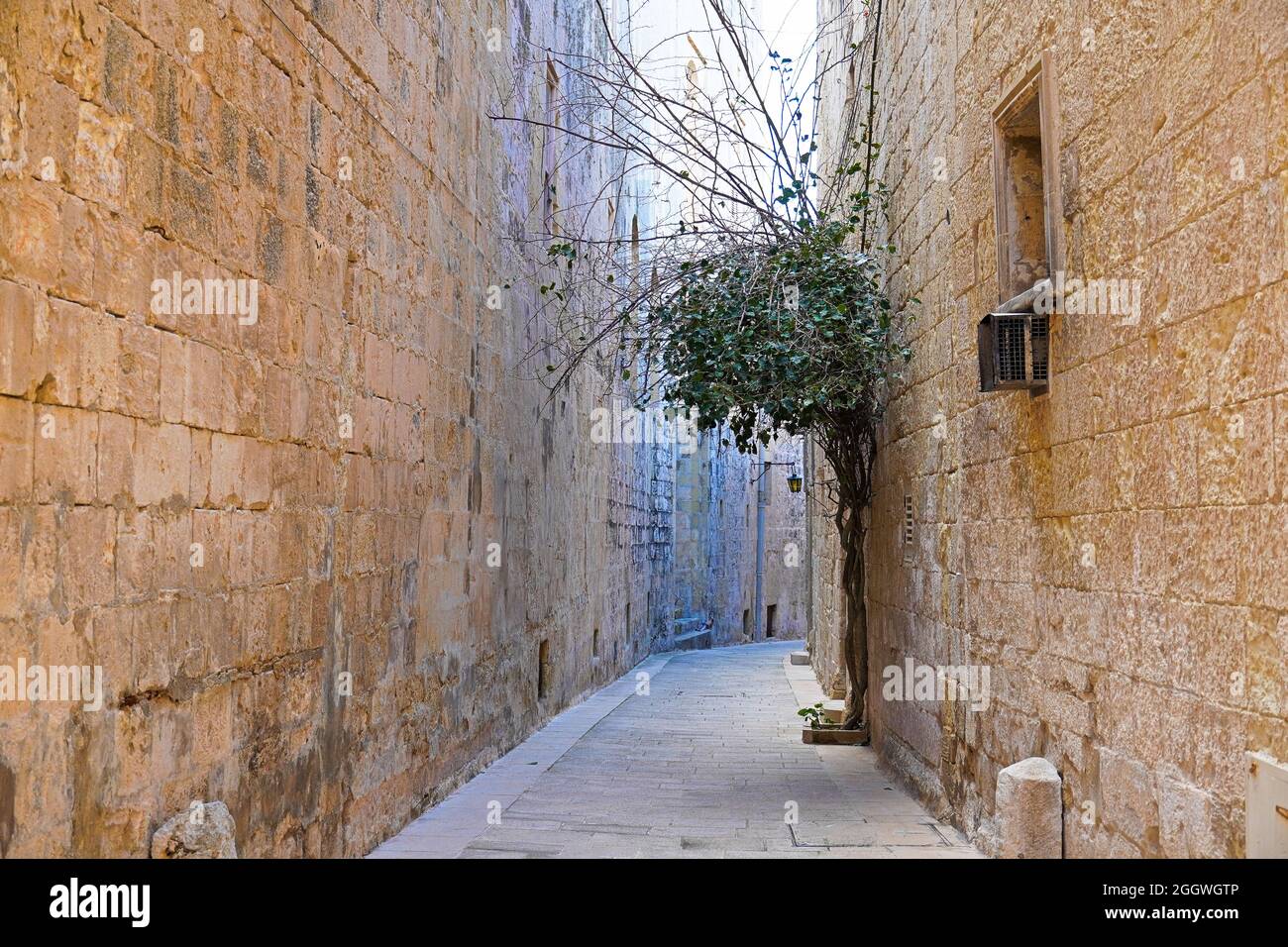 Petites ruelles et rues magnifiques dans l'ancienne capitale Mdina, Malte, Europe Banque D'Images
