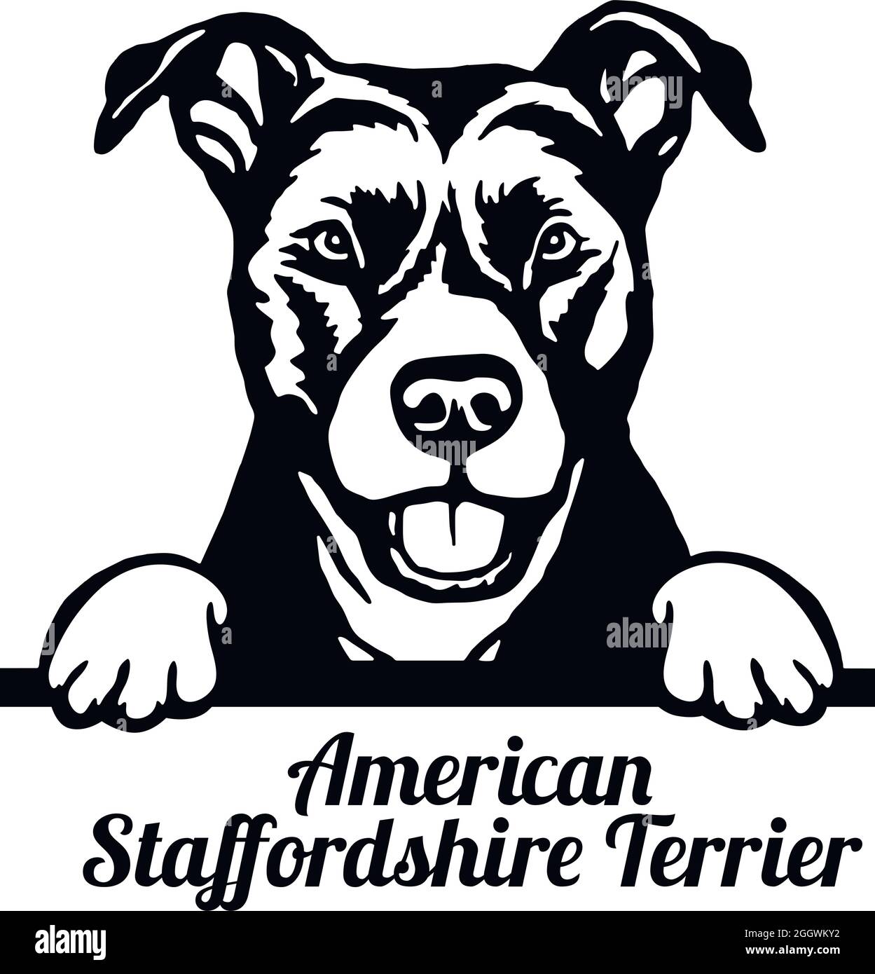 American Staffordshire Terrier Peeking Dog - tête isolée sur blanc - vecteur stock Illustration de Vecteur