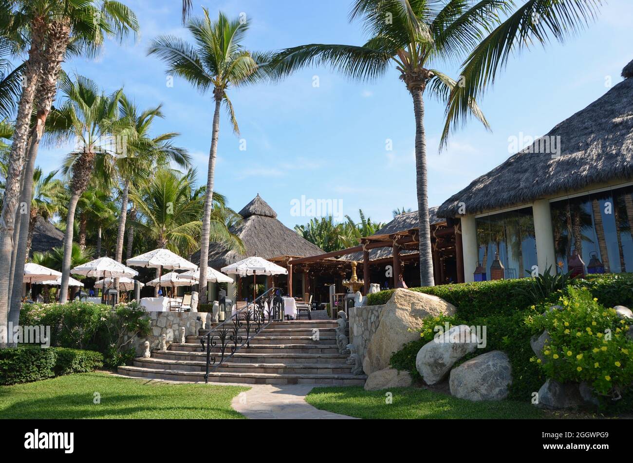 Paysage tropical dans le complexe de luxe One&Only Palmilla à San José del Cabo, Baja California sur Mexico. Banque D'Images