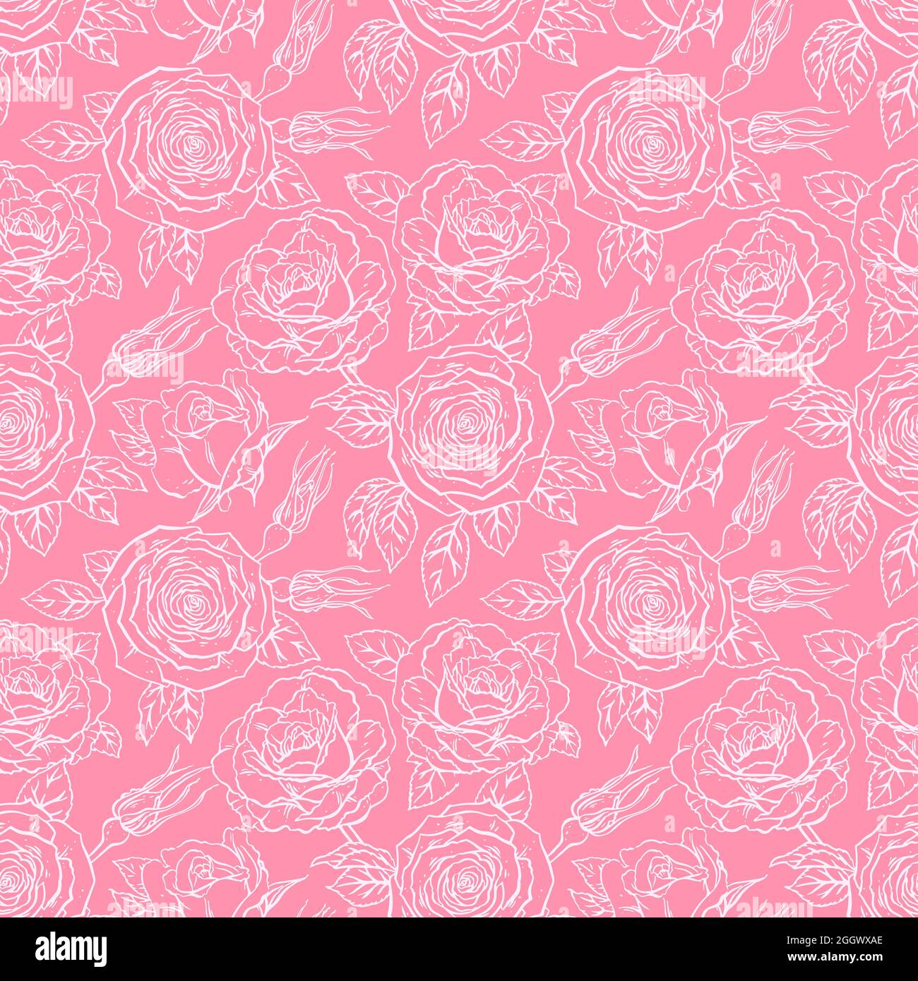 magnifique fond coloré sans couture de roses sur fond blanc. illustration dessinée à la main Illustration de Vecteur