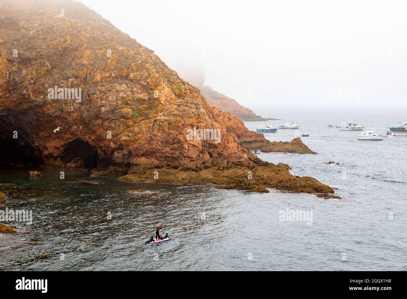 Jeunes garçons pagayant sur l'île de Berlenga Grande, la plus grande île de l'archipel de Berlengas, au large de Peniche, Portugal. Banque D'Images