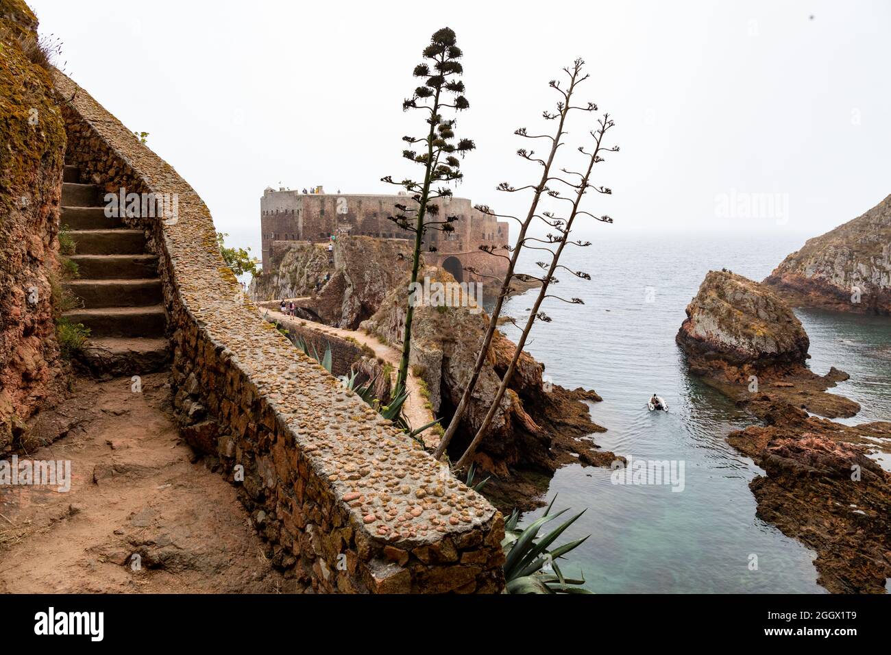 Sentier le fort de Saint-Jean-Baptiste sur l'île de Berlenga Grande, la plus grande île de l'archipel de Berlengas, Portugal. Banque D'Images