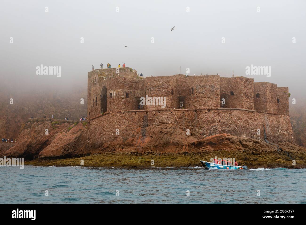 Fort de Saint-Jean-Baptiste sur l'île de Berlenga Grande, la plus grande île de l'archipel de Berlengas, au large de la côte de Peniche, Portugal. Banque D'Images