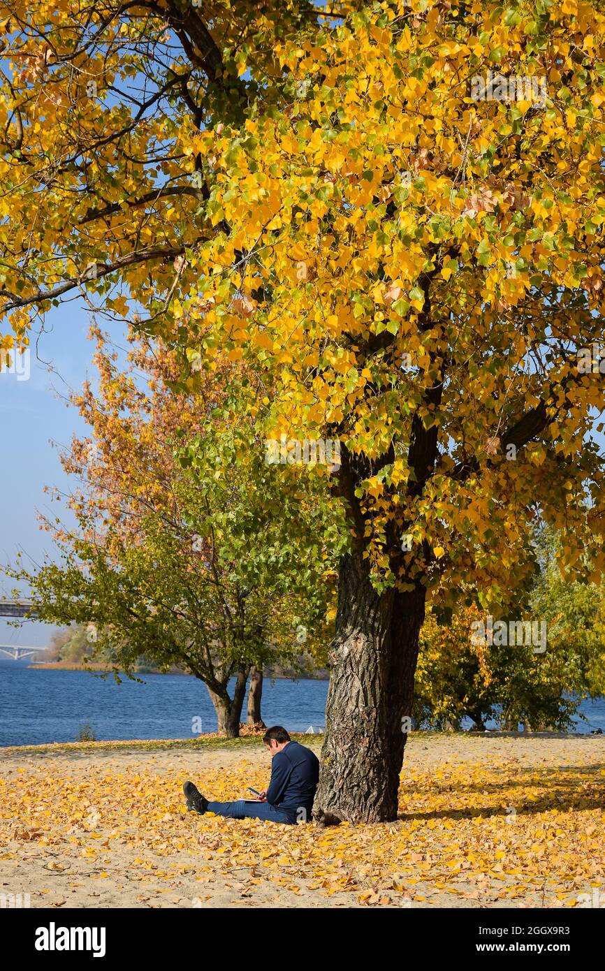 Un homme s'assoit sous un arbre d'automne sur un feuillage jaune au bord de la rivière et lit un livre Banque D'Images