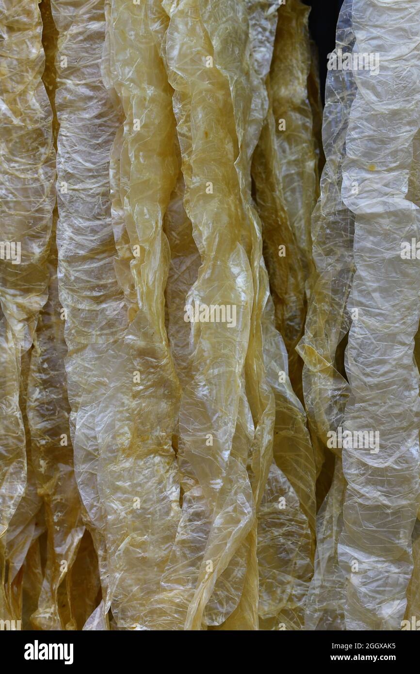 Gros plan des intestins séchés utilisés pour la préparation traditionnelle des saucisses Banque D'Images