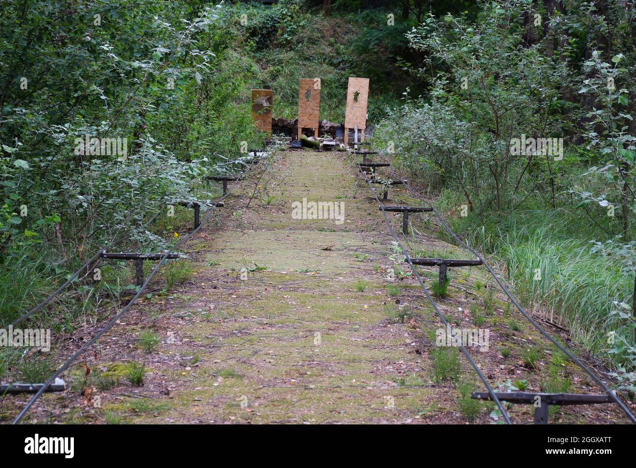 Champ de tir dans une forêt d'été sous le ciel ouvert avec des cibles en arrière-plan Banque D'Images