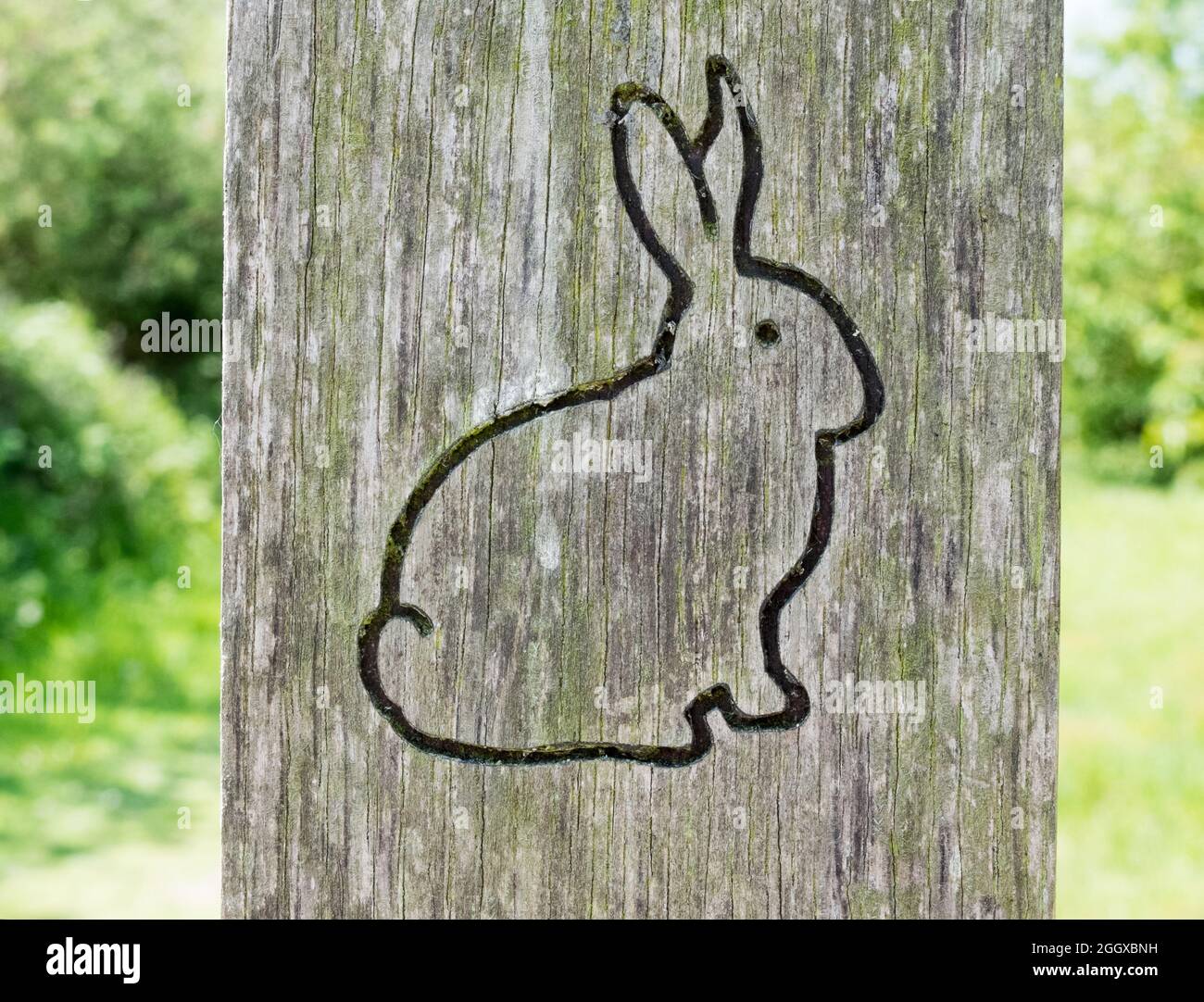 Contour sculpté d'un lapin sur un poteau de panneau en bois Banque D'Images