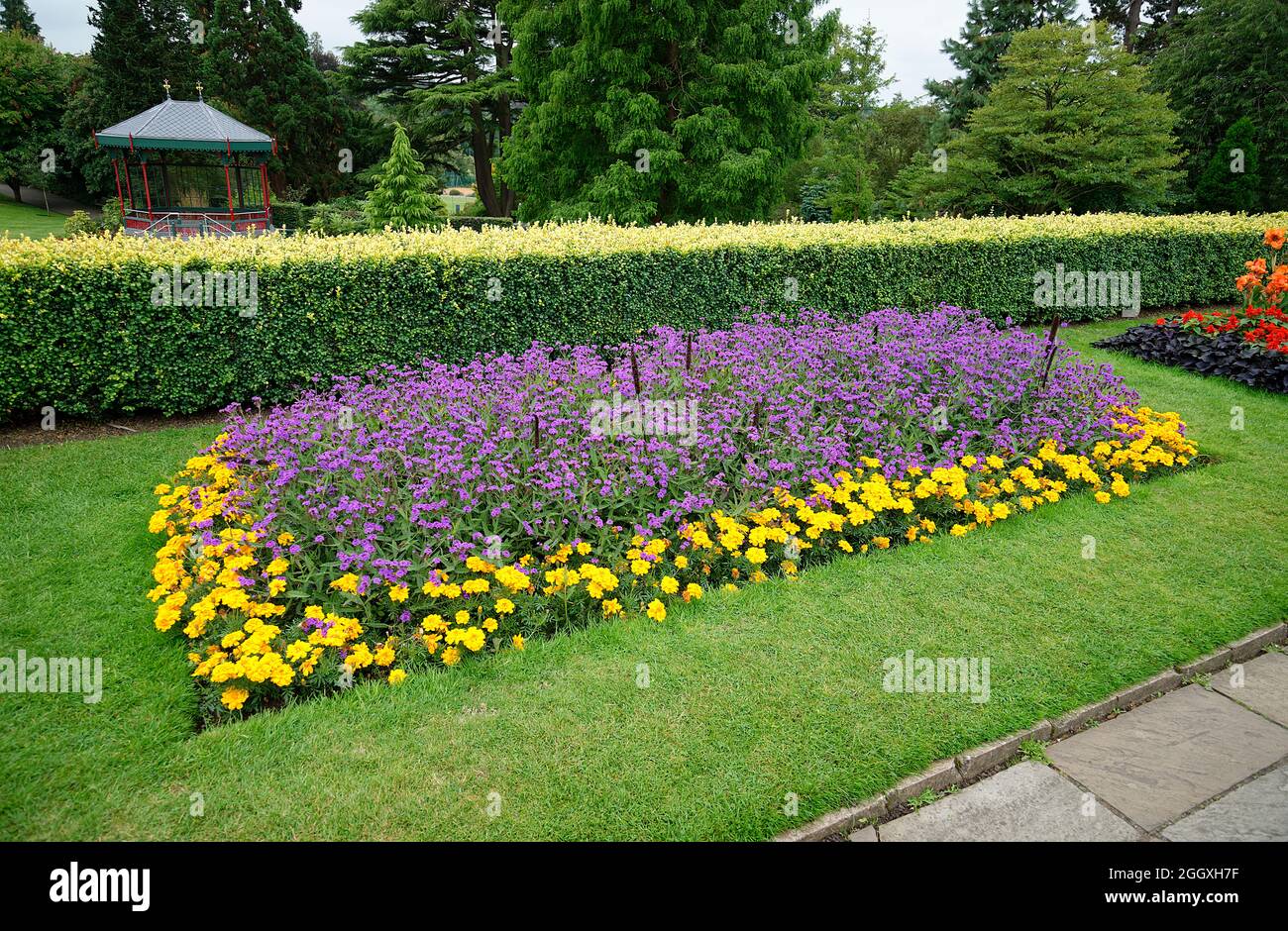 Plantation de fleurs dans le jardin public en été. Arrangements de fleurs colorées dans les lits en Angleterre. Banque D'Images