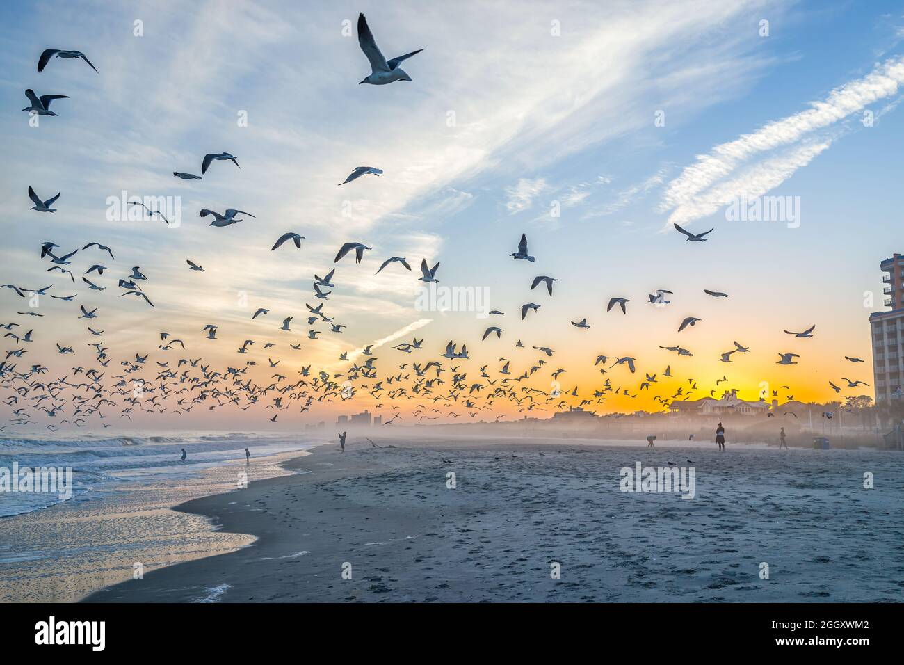 Coucher de soleil coloré à Myrtle Beach ville par l'océan Atlantique avec les gens, beaucoup de troupeaux de mouettes en vol près de la côte de rivage par construction d'appartement Banque D'Images
