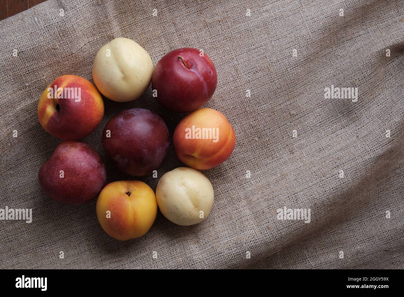 Fruits juteux dans une nappe en lin sur une vieille table en bois. Prunes, abricots sur fond rouge foncé. Vue de dessus. Banque D'Images