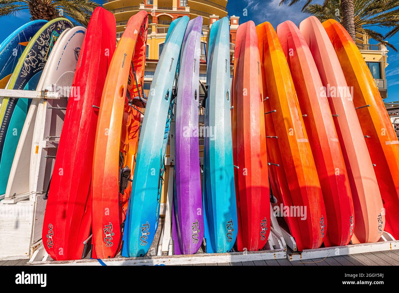 Destin, États-Unis - 13 janvier 2021: Rangée de nombreux bateaux de kayak colorés rouge bleu violet jaune dans le village de ville de station de Floride avec le signe Tribe sur H Banque D'Images