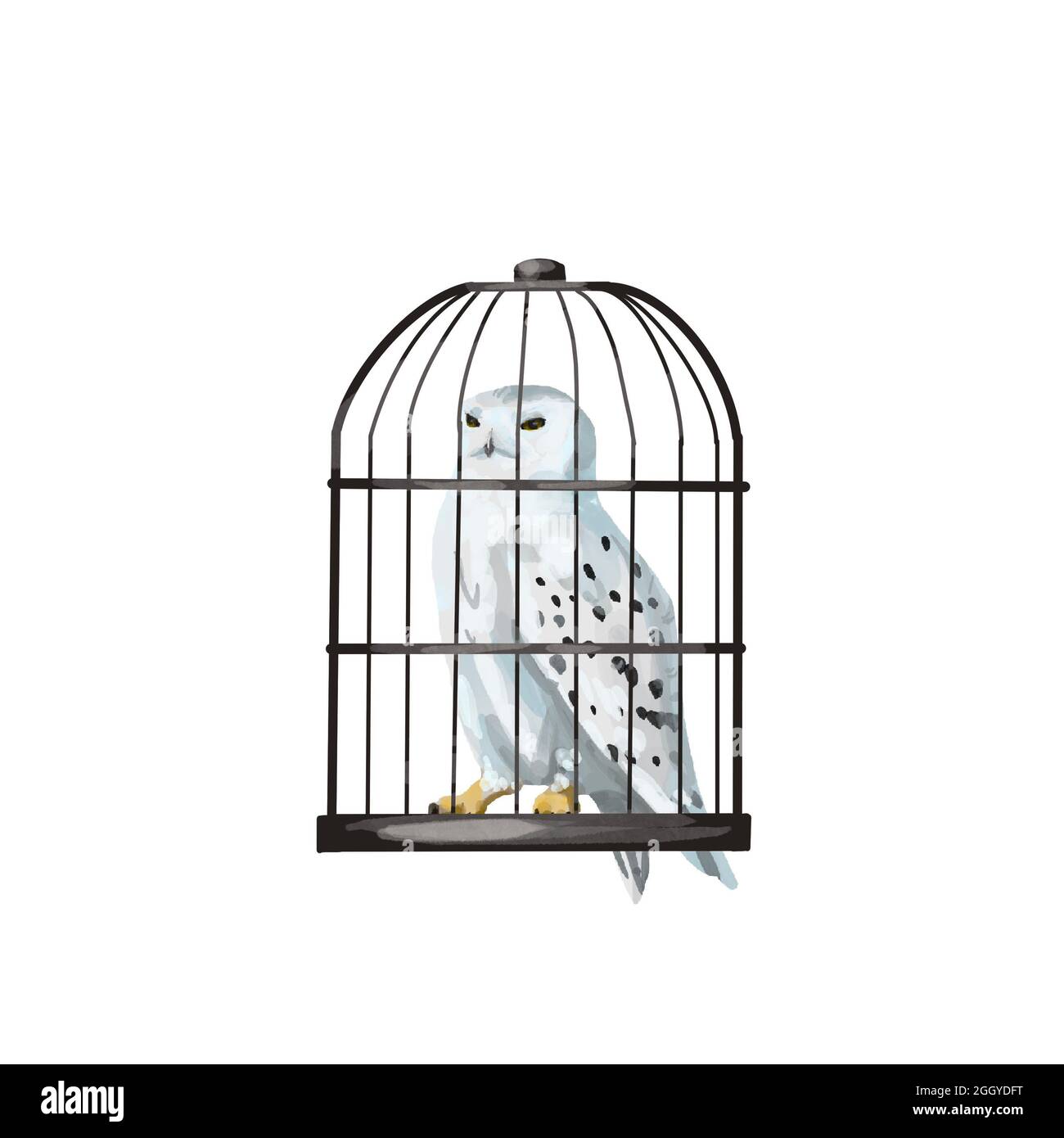 cage aquarelle avec hibou blanc polaire. hibou dans une cage Banque D'Images