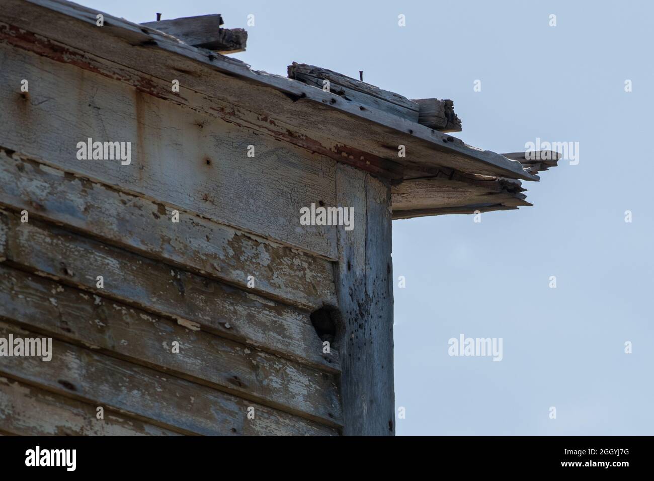 Le coin extérieur d'un ancien hangar en bois. Le toit du bâtiment est usé, pourri, et a des panneaux texturés gris sur le mur avec des morceaux de bois. Banque D'Images