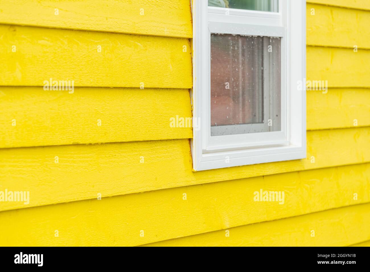 L'extérieur d'un vert sarcelle brillant étroit en bois de mur horizontal de panneau d'une maison avec une fenêtre en vinyle. La garniture des vitres est blanche. Banque D'Images