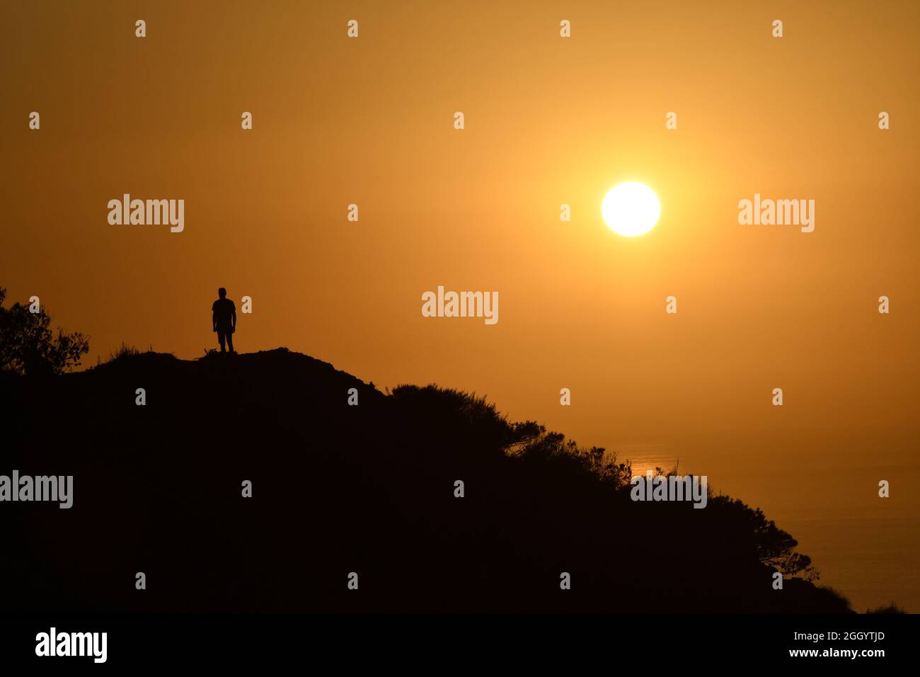 Vue sur le coucher du soleil dans la forêt de Canastel, Oran - Algérie Banque D'Images