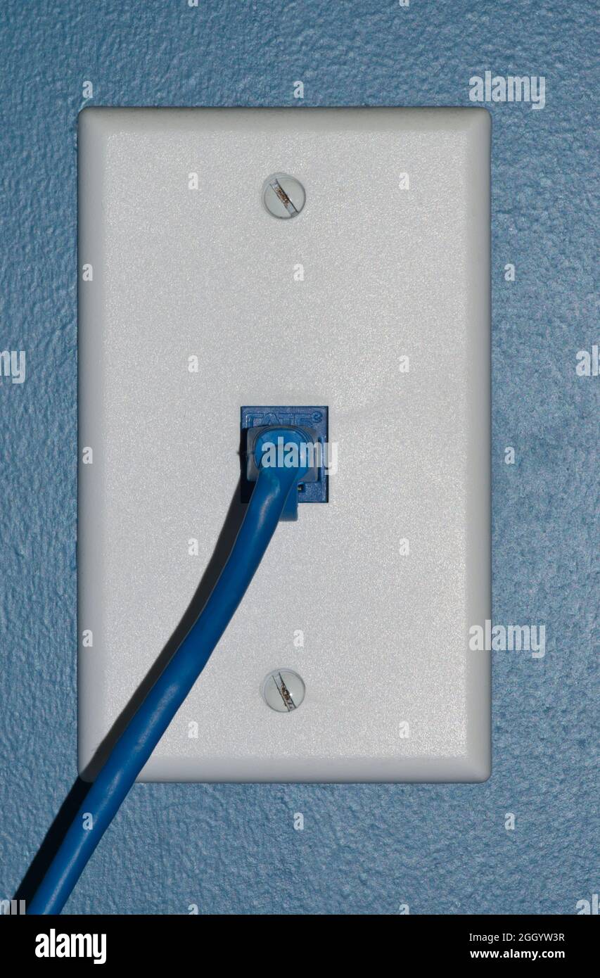 Câble bleu de catégorie 5 branché à une prise murale pour un téléphone fixe. Banque D'Images