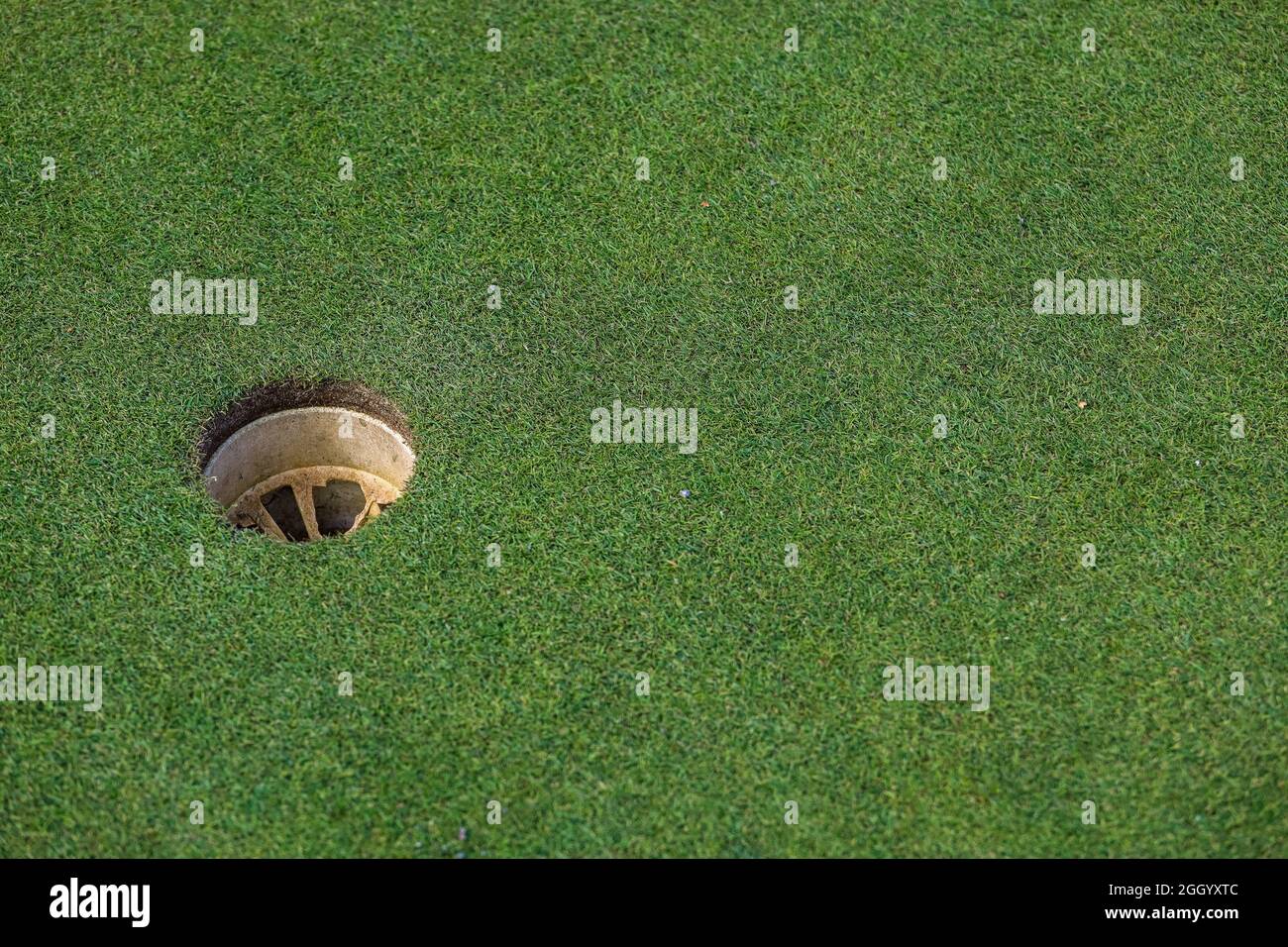 Trou de balle sur le parcours de golf vert. Photo de haute qualité Banque D'Images