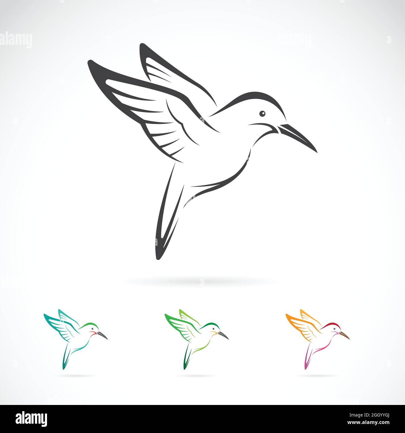 Image vectorielle d'un motif colibris sur fond blanc. Illustration vectorielle superposée facile à modifier. Animaux sauvages. Illustration de Vecteur