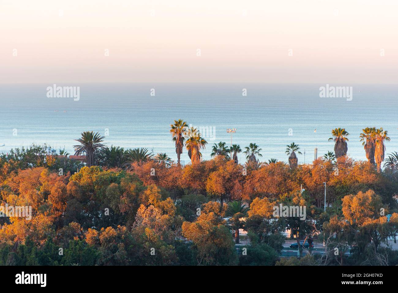 Lever du soleil à Agadir, vue panoramique sur l'océan Atlantique, ciel, palmiers le matin à Agadir, Maroc Banque D'Images